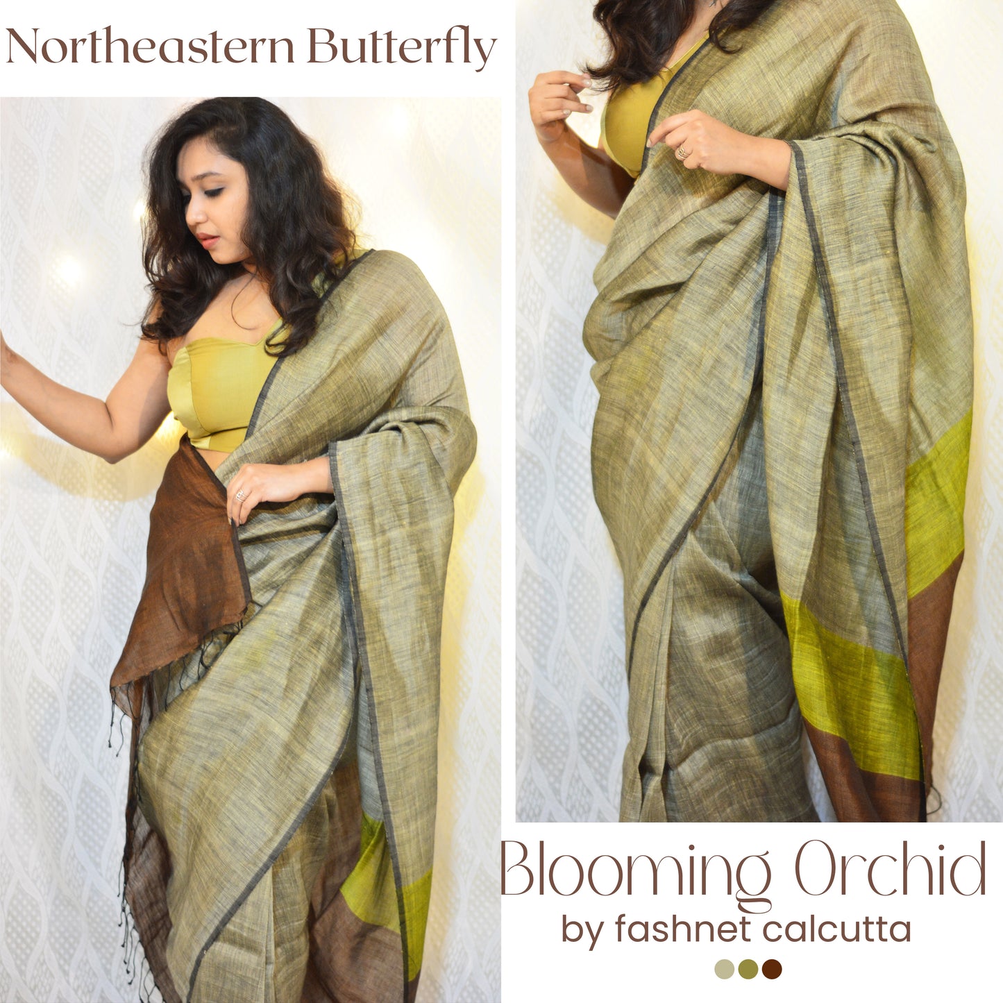 Blooming Orchid: Northeastern Butterfly